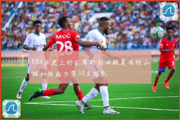 NBA历史上的扩军时刻回顾夏洛特山猫如何成为第30支球队